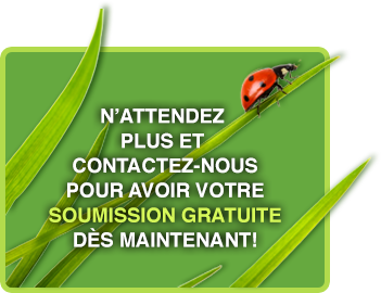 N’attendez plus et contactez-nouspour avoir votresoumission gratuitedès maintenant!